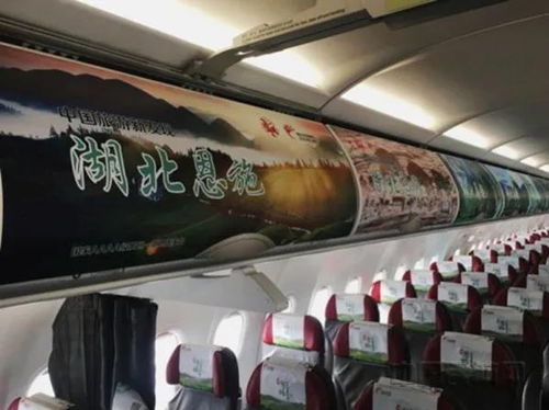 為脫貧插上“金翅膀” 長龍航空掌門人劉啟宏榮獲“全國脫貧攻堅(jiān)先進(jìn)個(gè)人”
